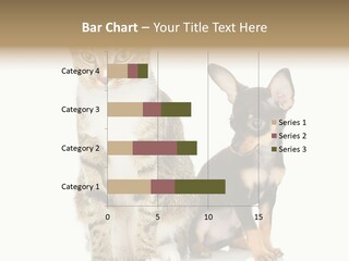 Playing Background White PowerPoint Template