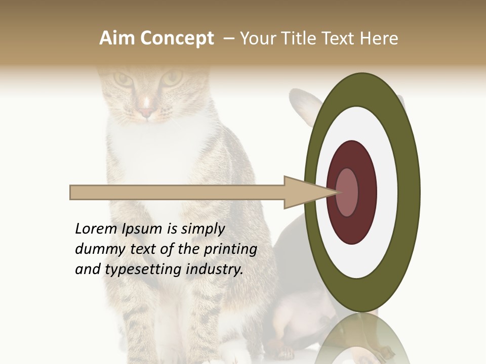 Playing Background White PowerPoint Template