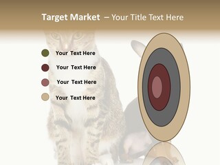 Playing Background White PowerPoint Template