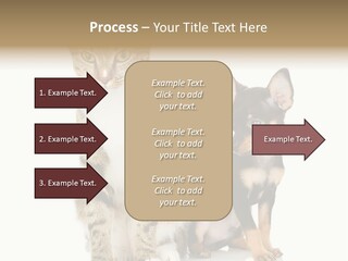 Playing Background White PowerPoint Template