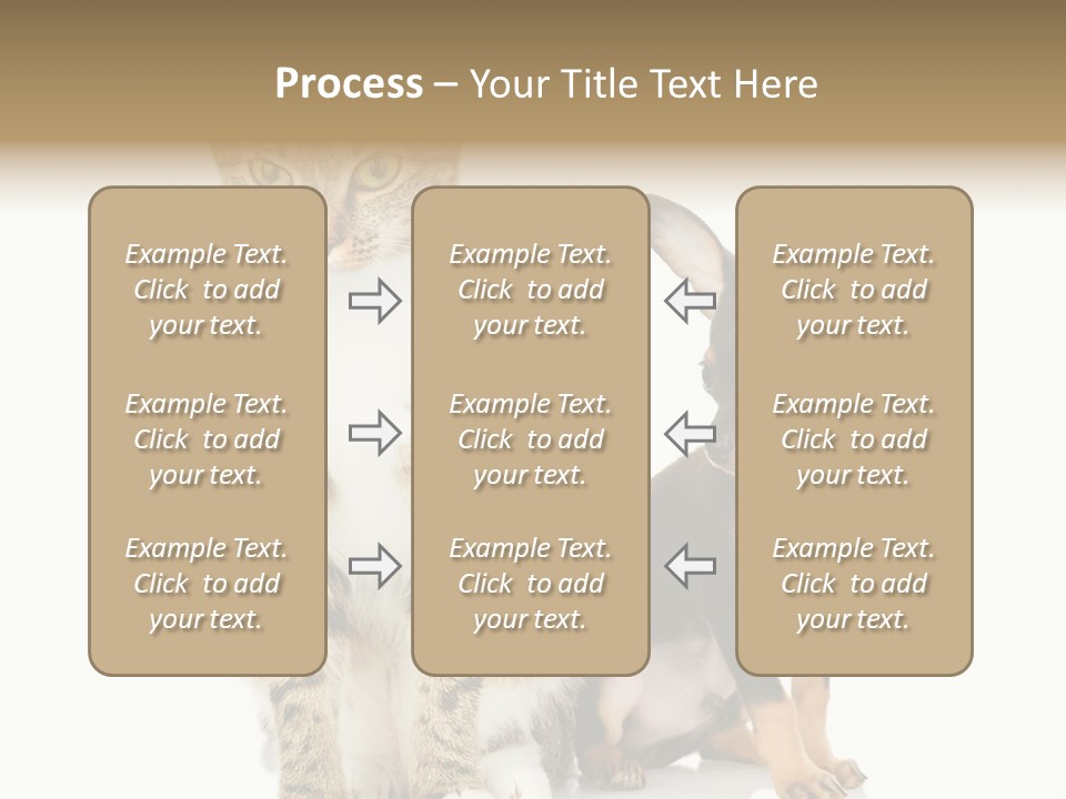 Playing Background White PowerPoint Template