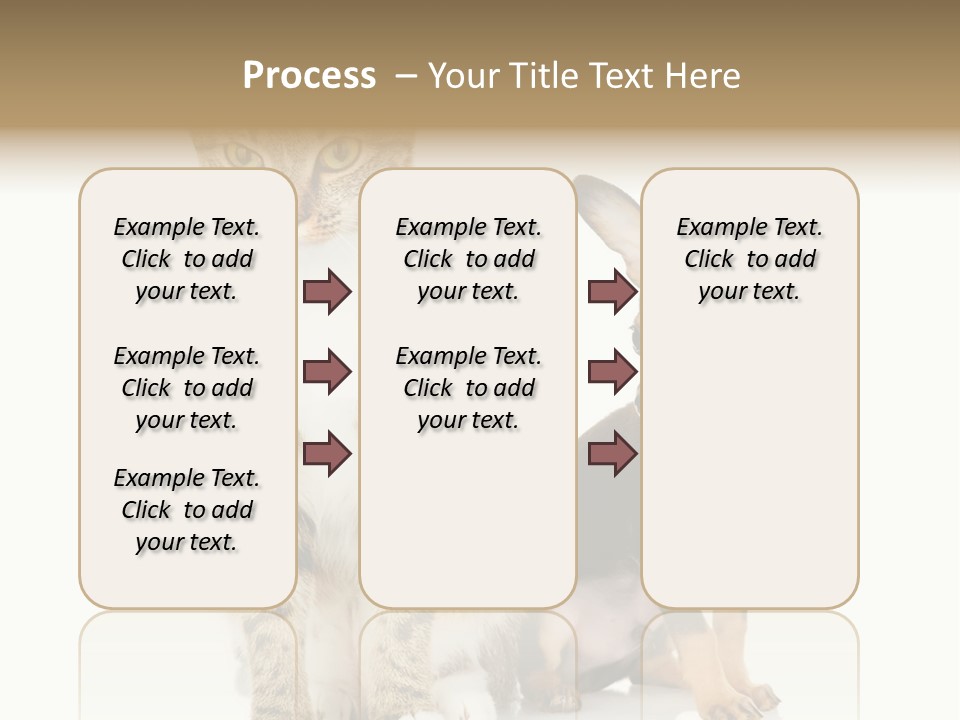 Playing Background White PowerPoint Template