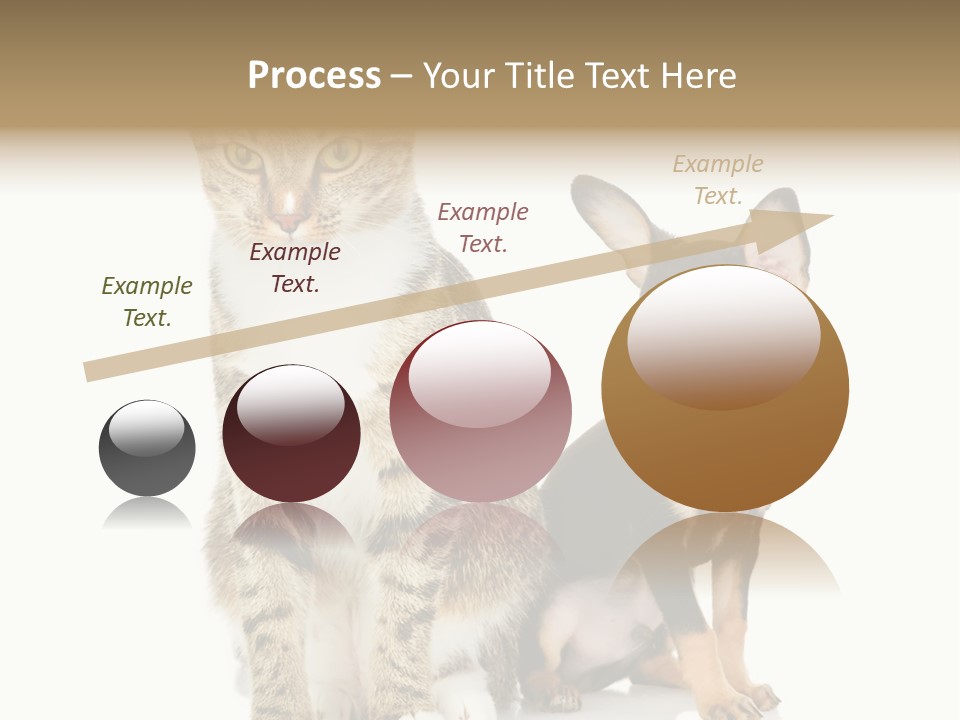 Playing Background White PowerPoint Template