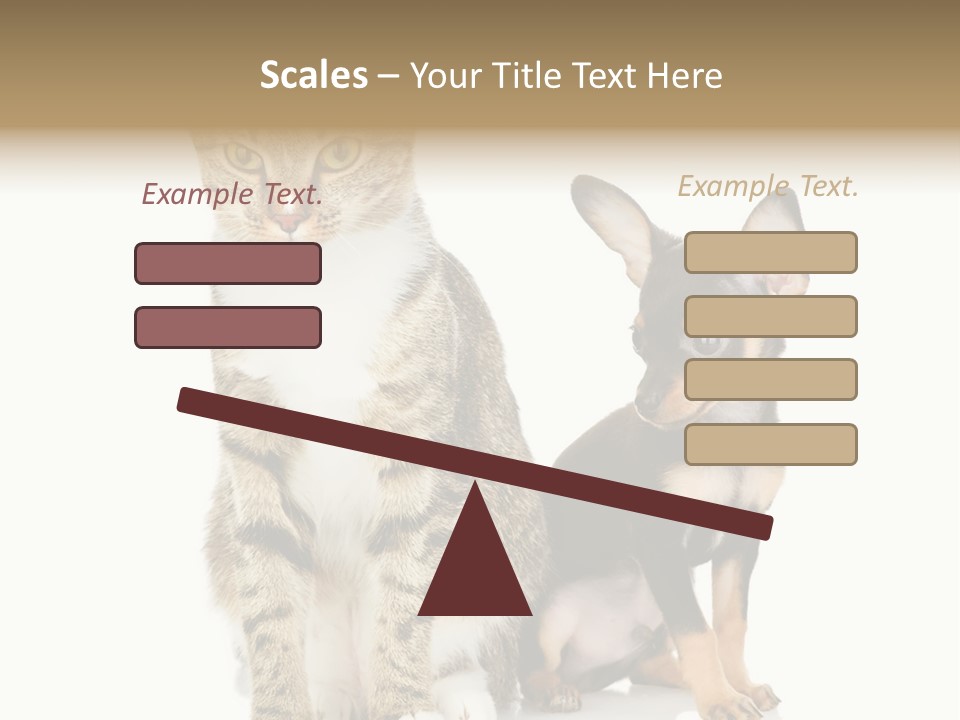 Playing Background White PowerPoint Template