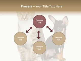 Playing Background White PowerPoint Template
