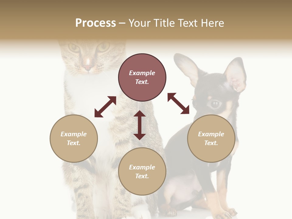 Playing Background White PowerPoint Template