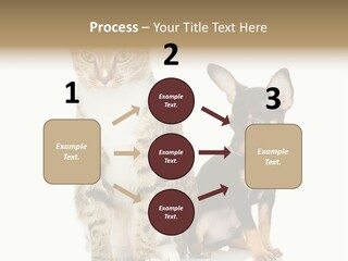 Playing Background White PowerPoint Template