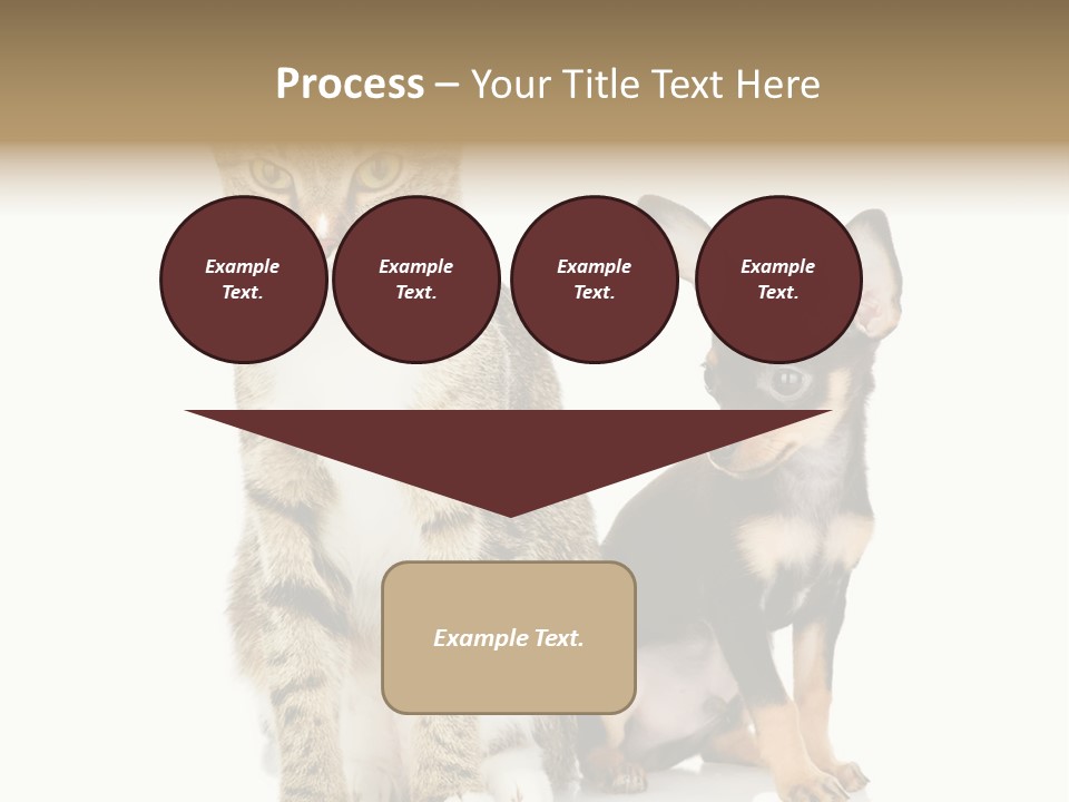 Playing Background White PowerPoint Template