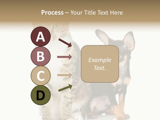 Playing Background White PowerPoint Template