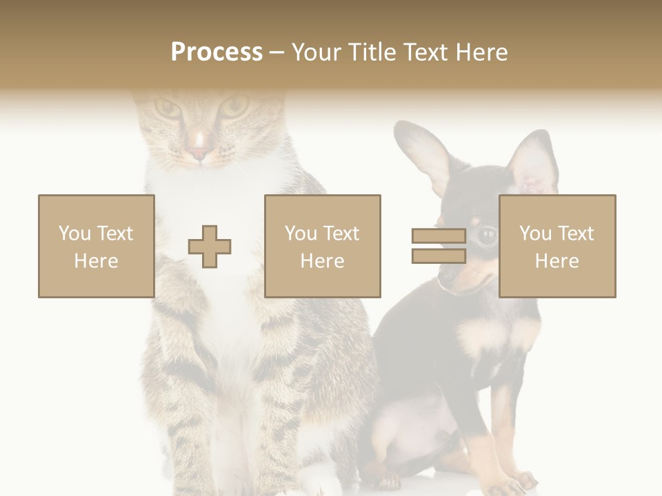 Playing Background White PowerPoint Template