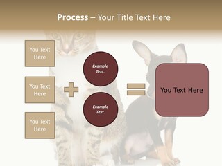 Playing Background White PowerPoint Template