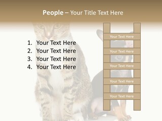 Playing Background White PowerPoint Template