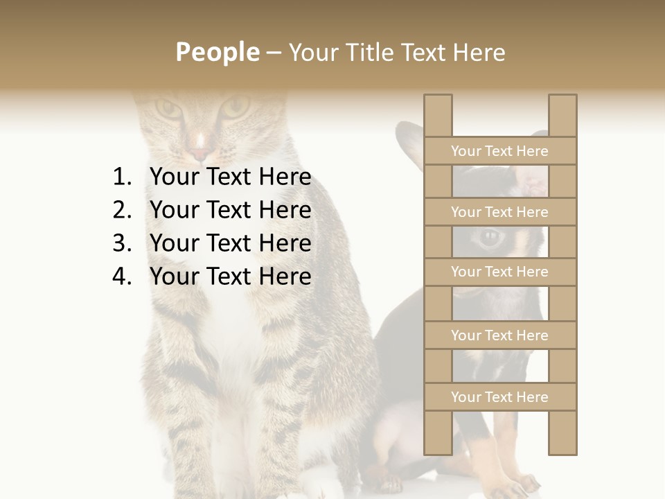 Playing Background White PowerPoint Template
