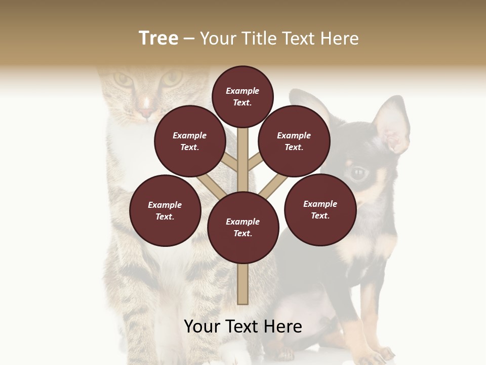 Playing Background White PowerPoint Template