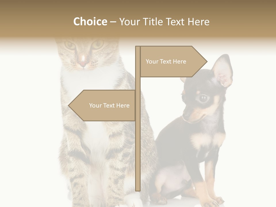 Playing Background White PowerPoint Template