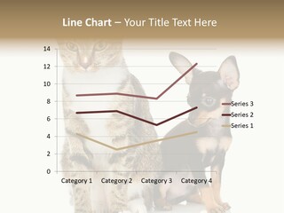 Playing Background White PowerPoint Template