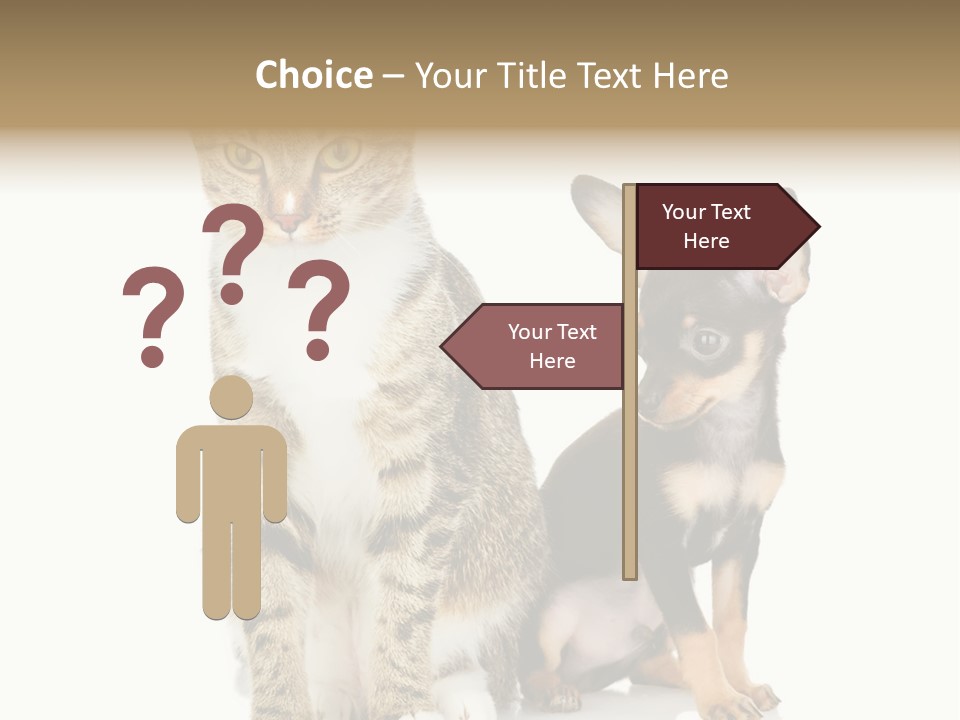 Playing Background White PowerPoint Template