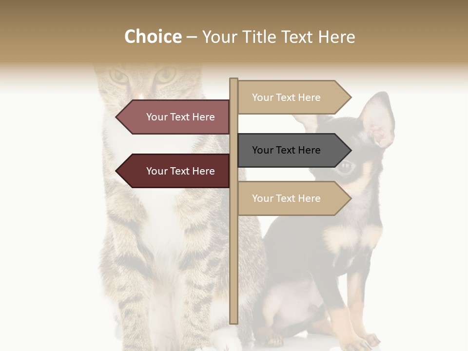 Playing Background White PowerPoint Template