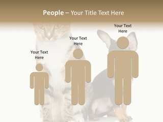 Playing Background White PowerPoint Template