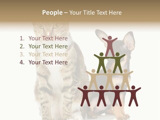 Playing Background White PowerPoint Template