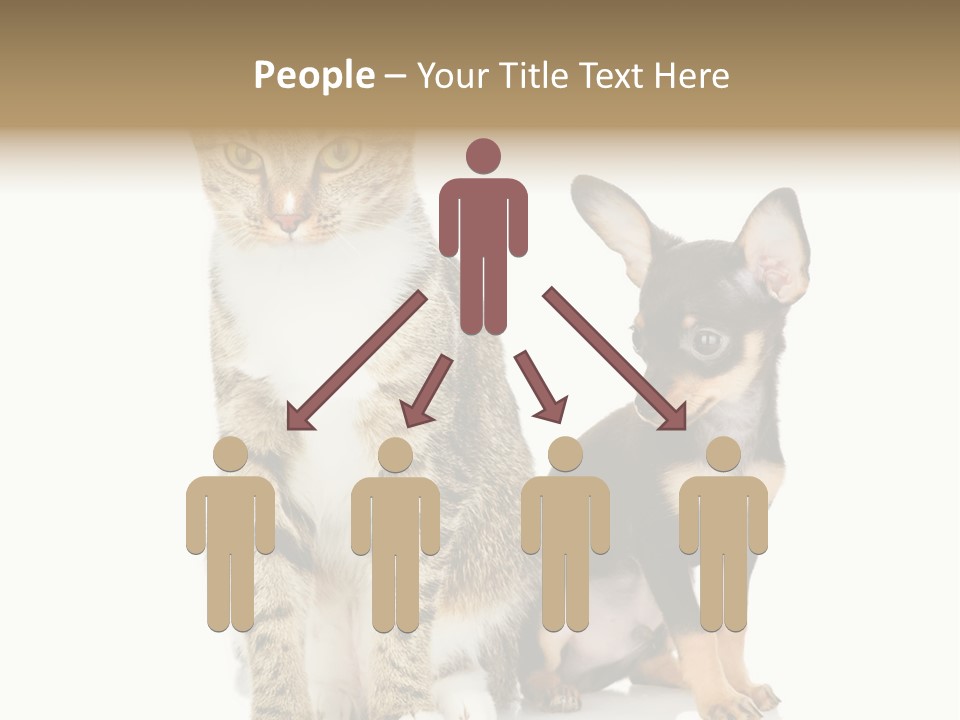 Playing Background White PowerPoint Template