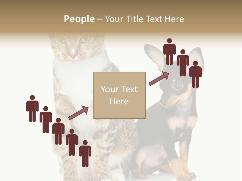 Playing Background White PowerPoint Template