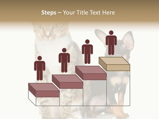 Playing Background White PowerPoint Template