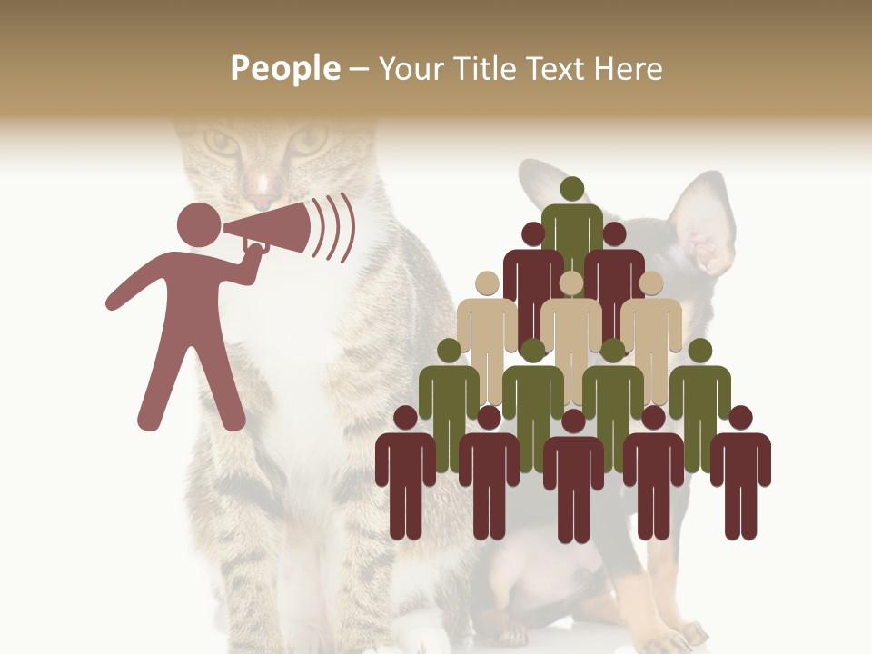 Playing Background White PowerPoint Template