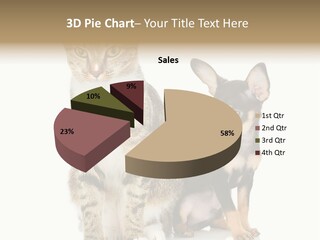Playing Background White PowerPoint Template