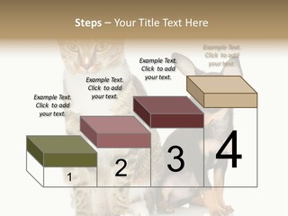 Playing Background White PowerPoint Template