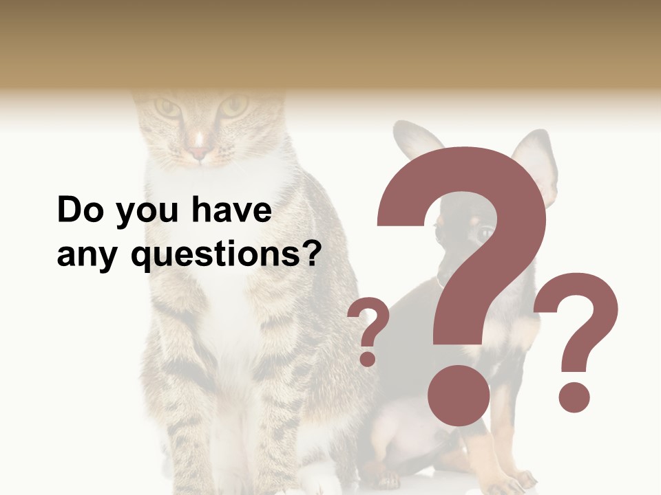 Playing Background White PowerPoint Template