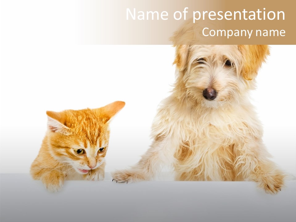 Friendly Isolated Empty PowerPoint Template