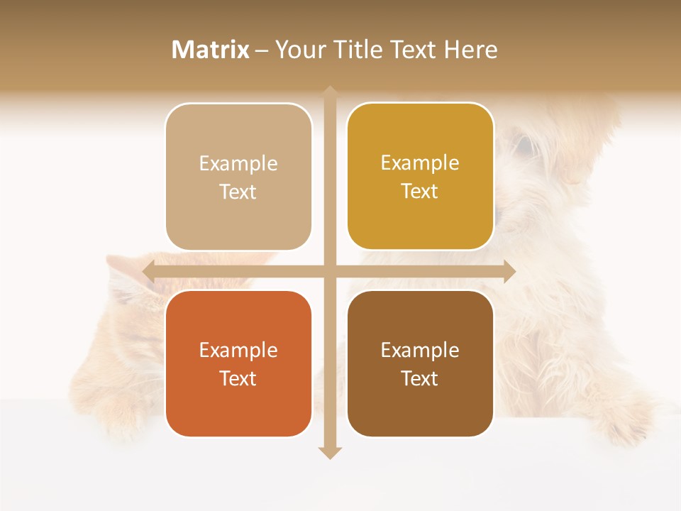 Friendly Isolated Empty PowerPoint Template