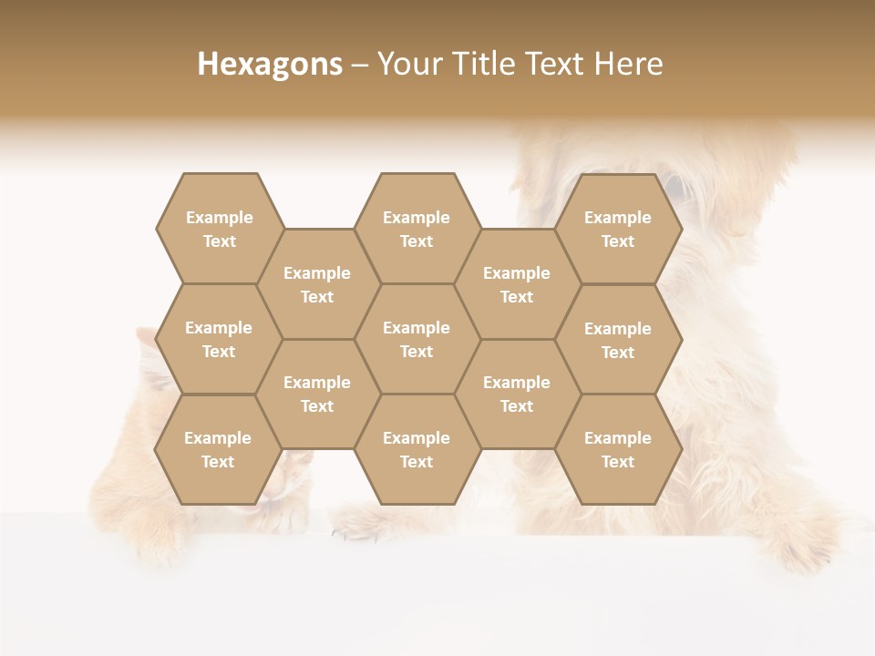 Friendly Isolated Empty PowerPoint Template