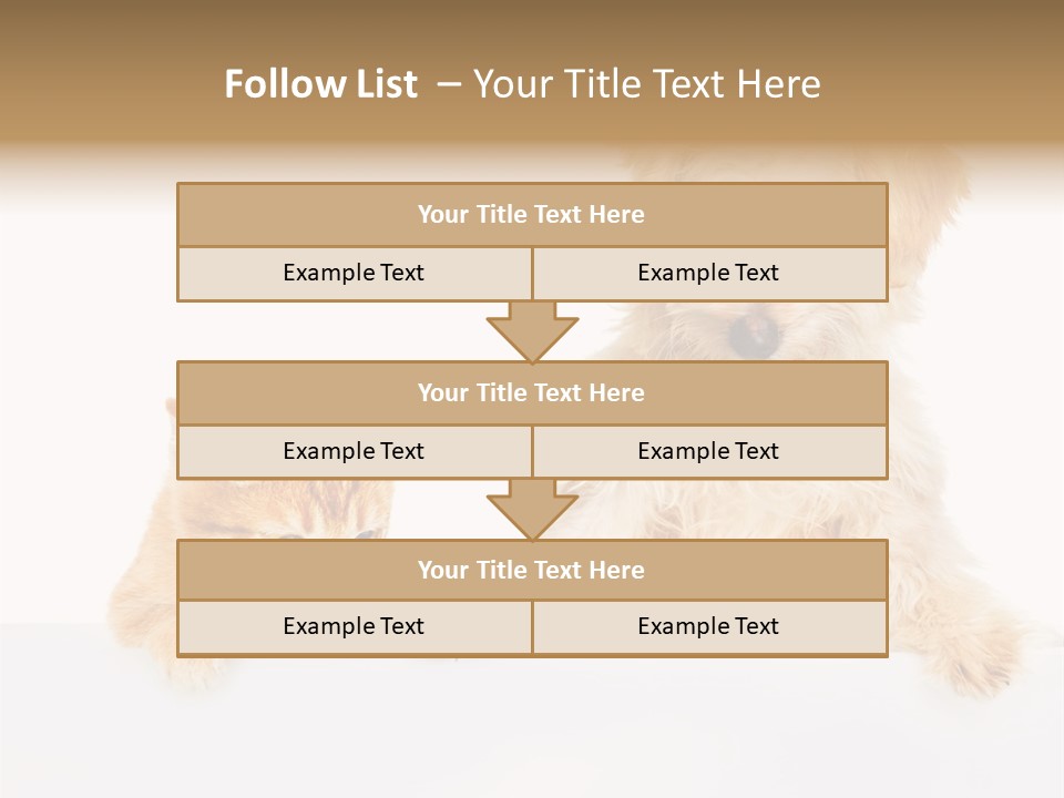 Friendly Isolated Empty PowerPoint Template