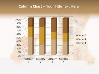 Friendly Isolated Empty PowerPoint Template