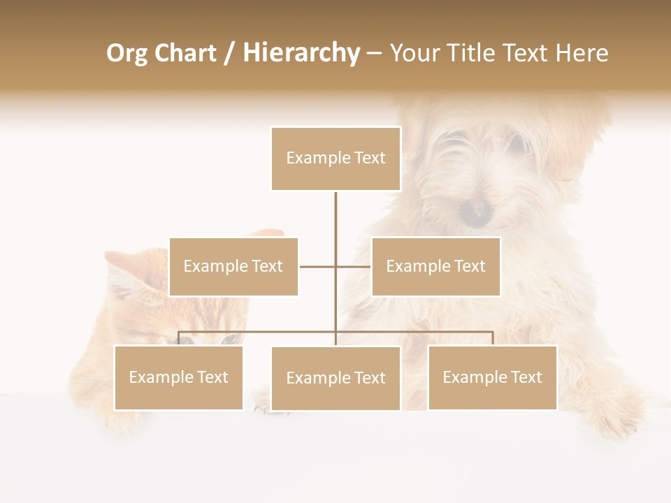 Friendly Isolated Empty PowerPoint Template
