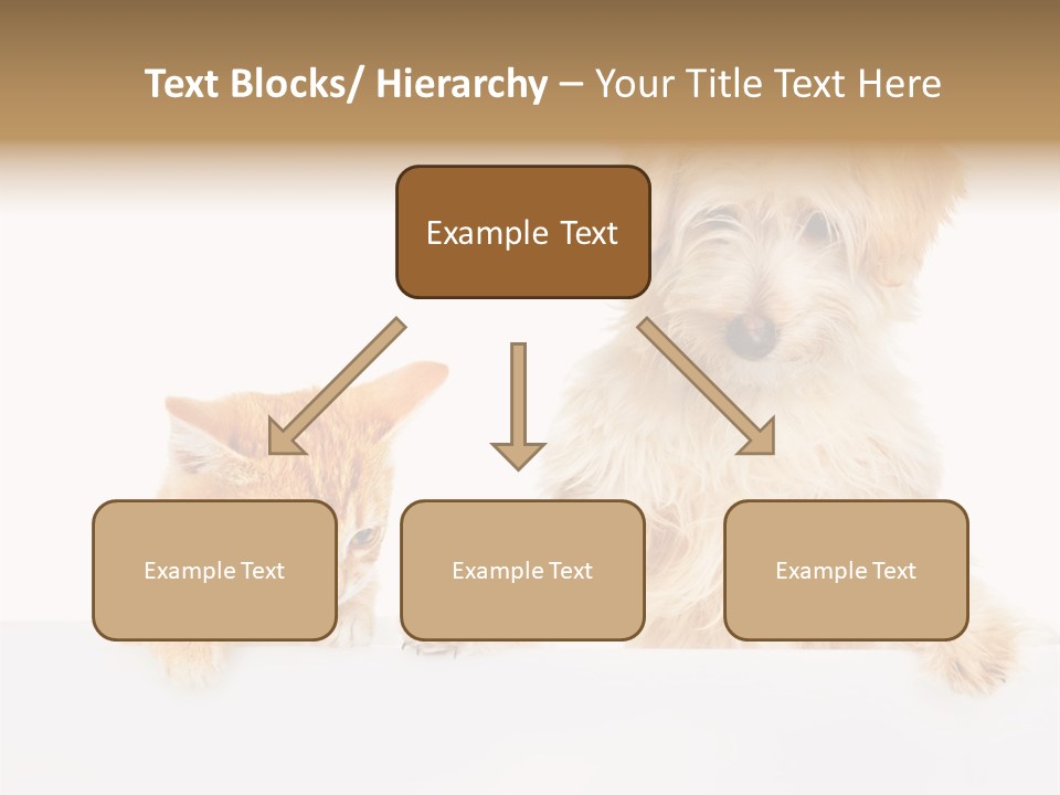 Friendly Isolated Empty PowerPoint Template