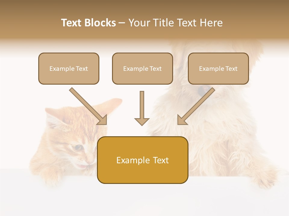 Friendly Isolated Empty PowerPoint Template