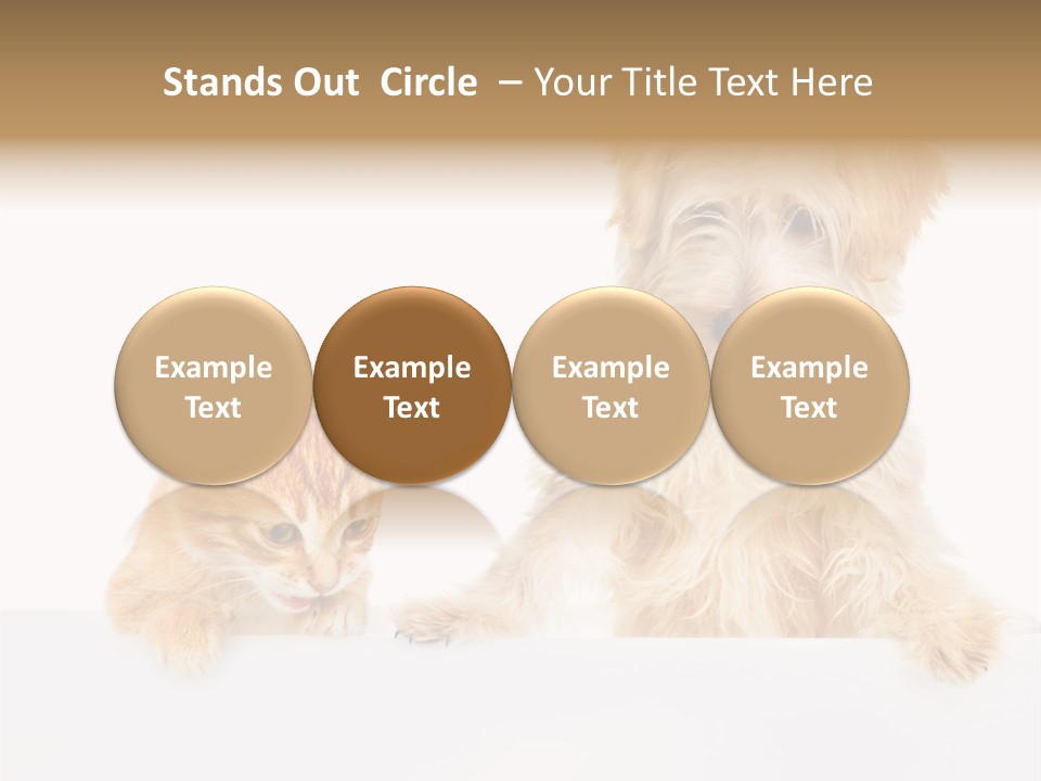 Friendly Isolated Empty PowerPoint Template