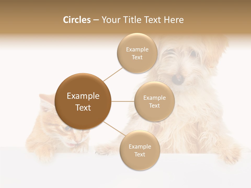 Friendly Isolated Empty PowerPoint Template