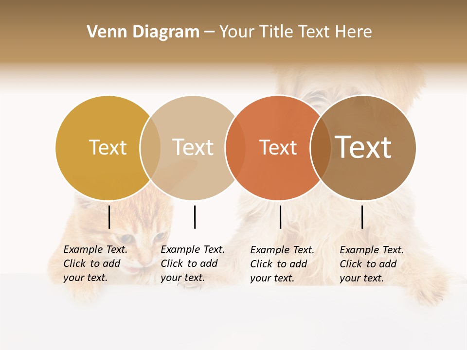 Friendly Isolated Empty PowerPoint Template
