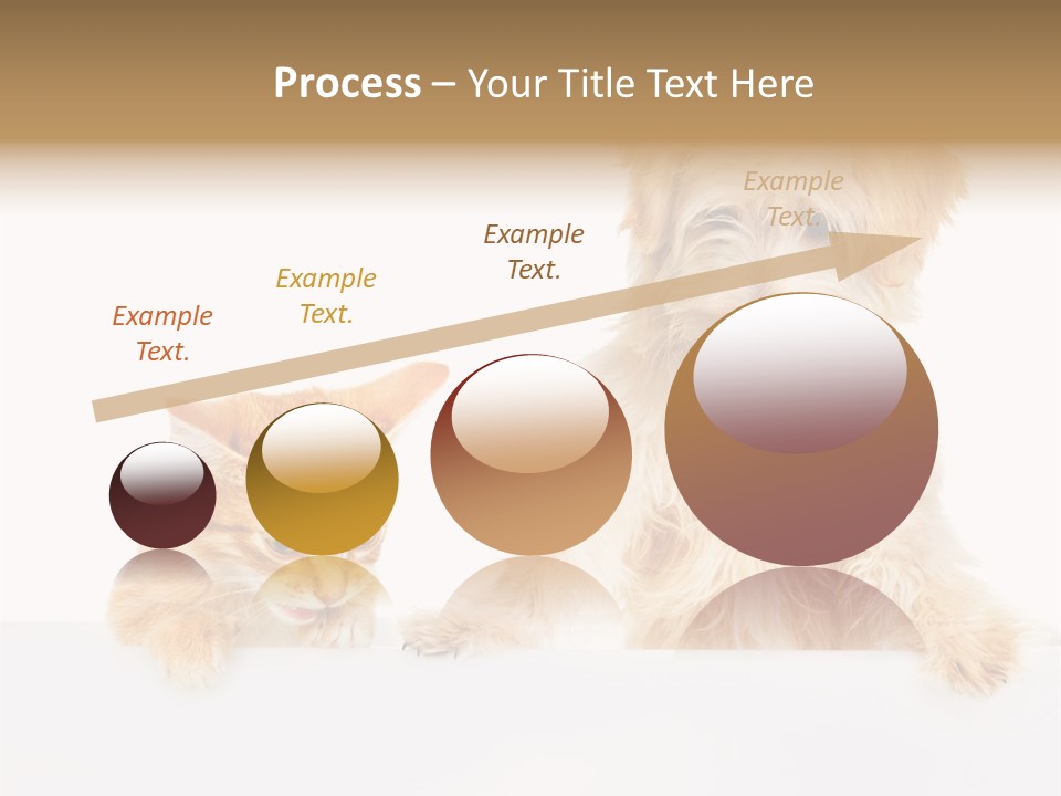 Friendly Isolated Empty PowerPoint Template