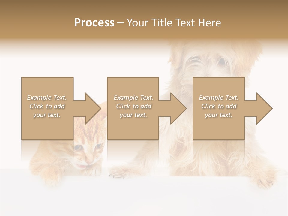 Friendly Isolated Empty PowerPoint Template