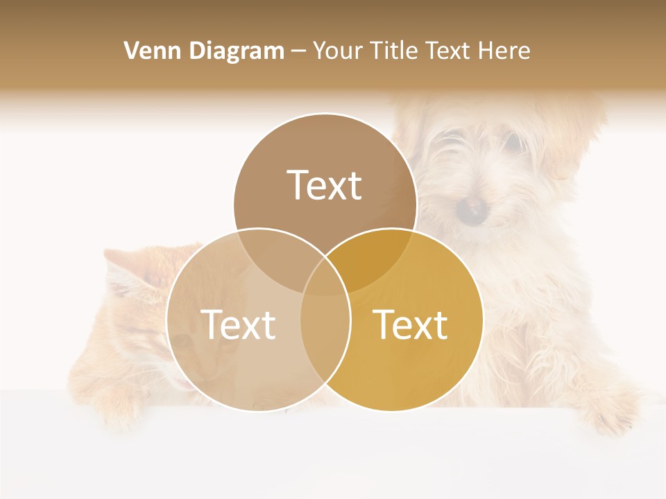 Friendly Isolated Empty PowerPoint Template