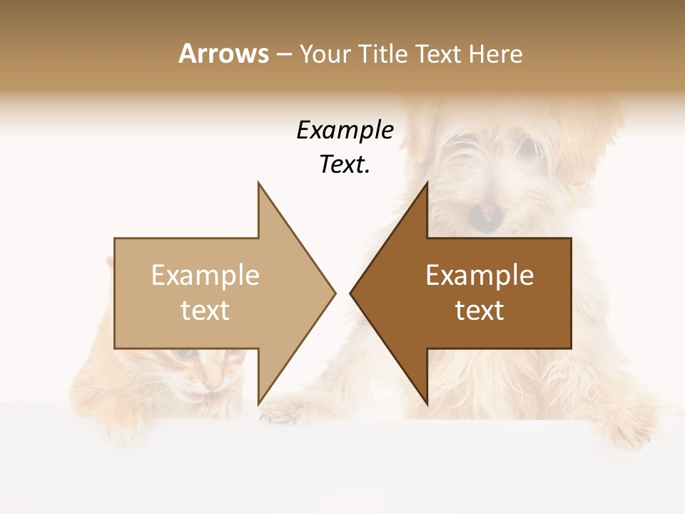 Friendly Isolated Empty PowerPoint Template