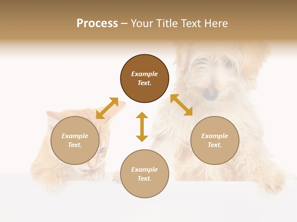 Friendly Isolated Empty PowerPoint Template