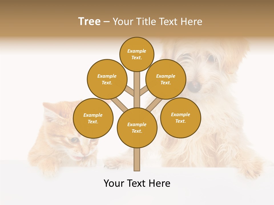 Friendly Isolated Empty PowerPoint Template