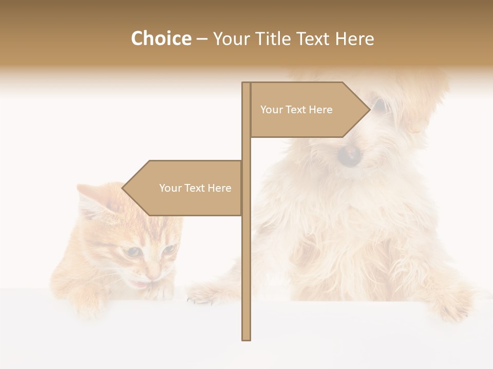 Friendly Isolated Empty PowerPoint Template