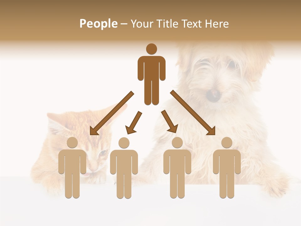 Friendly Isolated Empty PowerPoint Template